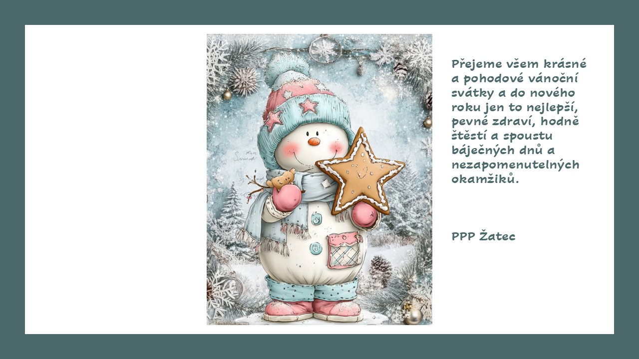 Vánoční přání web